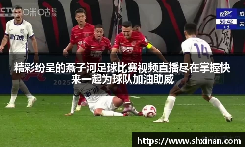 精彩纷呈的燕子河足球比赛视频直播尽在掌握快来一起为球队加油助威
